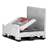 BigBox klappbar aus Polyetylen, mit Eingriffsklappen, 1200 x 1000 x 1000 mm, mit Kufen - Bild5