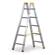 Alu-Sprossenleiter, profi