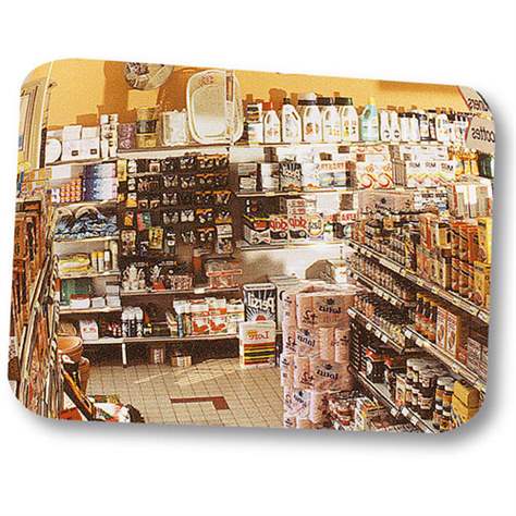 Kontrollspiegel für Innenbereiche 600 x 400 mm, mit einem Flexi-Stab