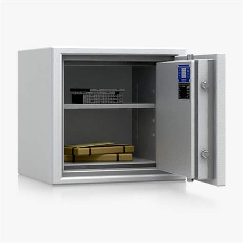 Seif anti-foc - dulap de siguranță cu protecție contra incendiului (clasa S60P, S2), HxLxl: 440x463x427 mm, greutate 99 kg, 1 polițe