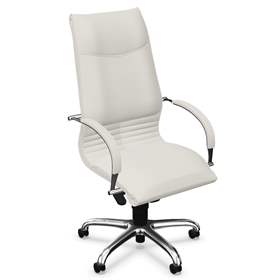 Manager-Sessel ARTUS mit Armlehnen, Stahlgestell verchromt, Kunstlederbezug - Grau