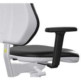 Armlehnen 4D für Reinraum-Arbeitsstuhl Cleanroom BASIC, 1 Paar